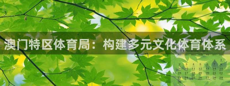 澳门特区体育局：构建多元文化体育体系
