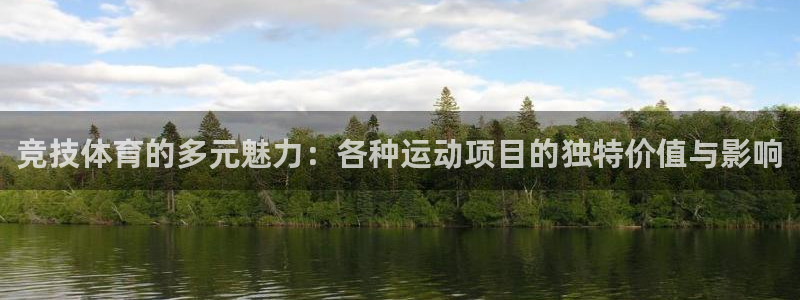 竞技体育的多元魅力：各种运动项目的独特价值与影响