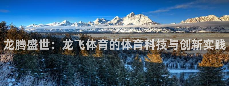 龙腾盛世：龙飞体育的体育科技与创新实践