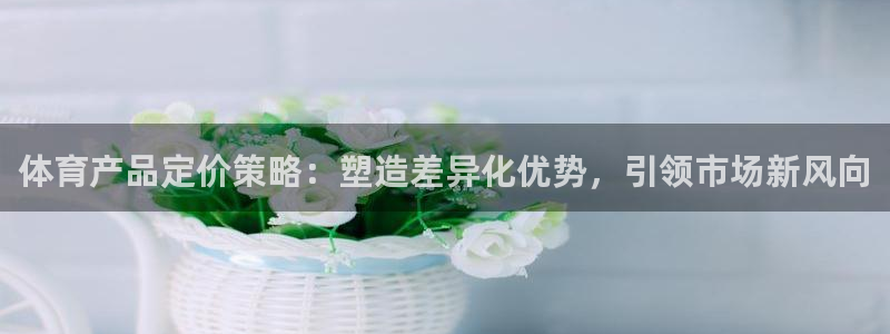 体育产品定价策略：塑造差异化优势，引领市场新风向