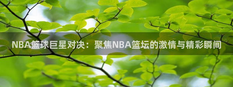 NBA篮球巨星对决：聚焦NBA篮坛的激情与精彩瞬间